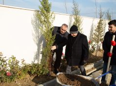GYF Əməkdaşları İmadəddin Nəsiminin 650 İllik Yubileyi İlə Əlaqədar Ağacəkmə Kampaniyasında İştirak Edib