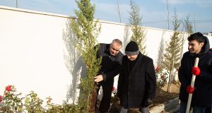 GYF Əməkdaşları İmadəddin Nəsiminin 650 İllik Yubileyi İlə Əlaqədar Ağacəkmə Kampaniyasında İştirak Edib