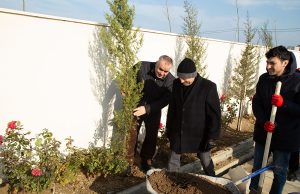 GYF Əməkdaşları İmadəddin Nəsiminin 650 İllik Yubileyi İlə Əlaqədar Ağacəkmə Kampaniyasında İştirak Edib