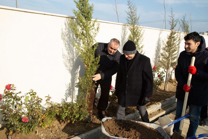 GYF Əməkdaşları İmadəddin Nəsiminin 650 İllik Yubileyi İlə Əlaqədar Ağacəkmə Kampaniyasında İştirak Edib