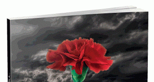 “20 Yanvar faciəsi xalqımızın qəhrəmanlıq salnaməsidir”