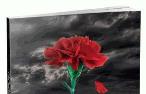 “Ağla, qərənfil, ağla” kitabı çapdan çıxmışdır