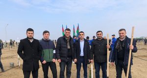 2 Fevral Gənclər Günü ilə Bağlı Ağacəkmə Aksiyası Keçirilib